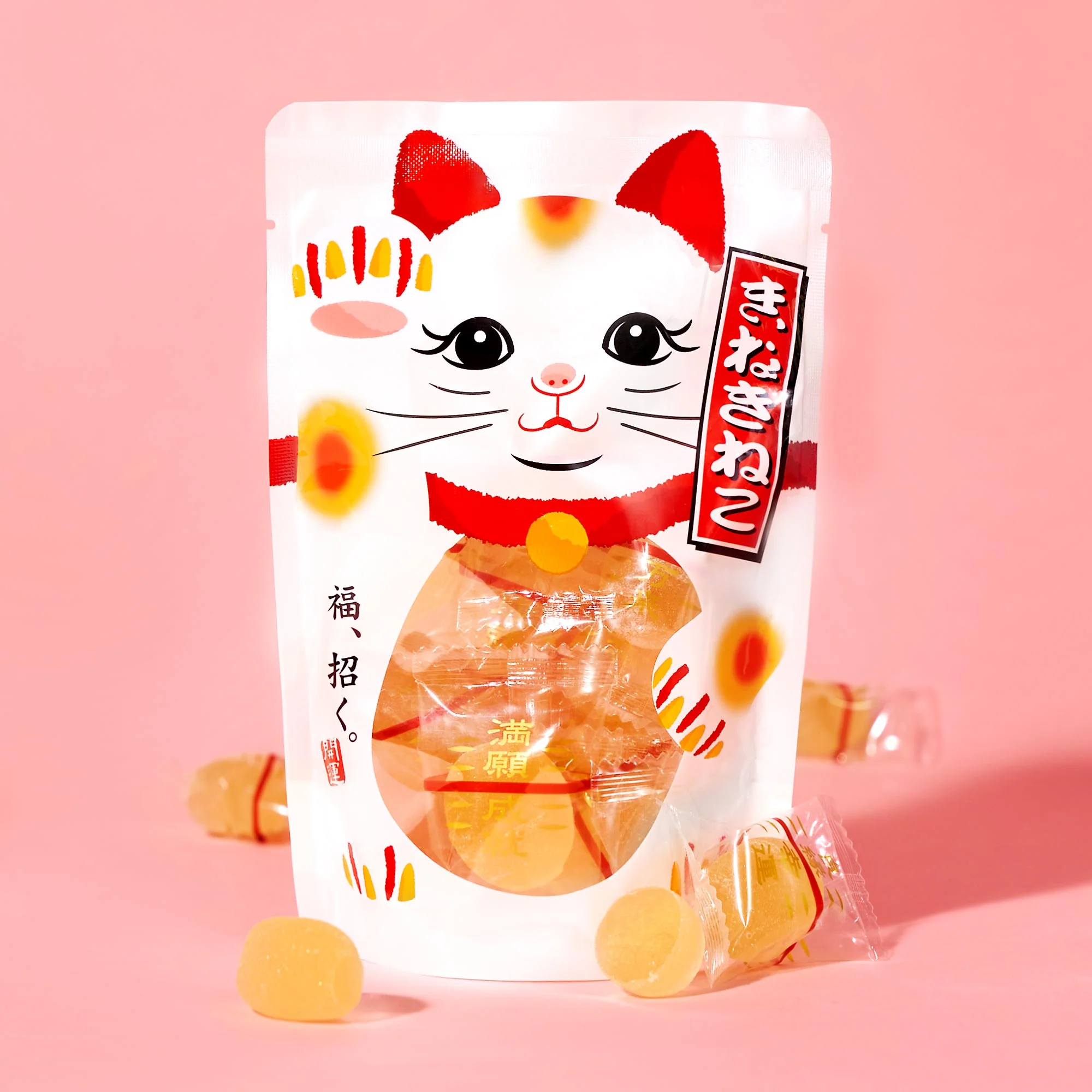The Cat Lover's Box - Image 2